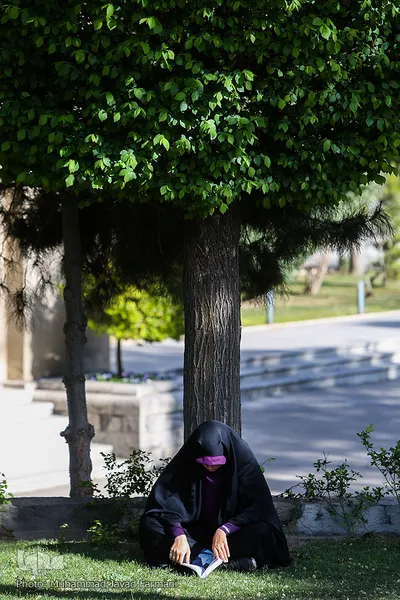 اعمال ام داوود در آخرین روز اعتکاف دانشگاه تهران