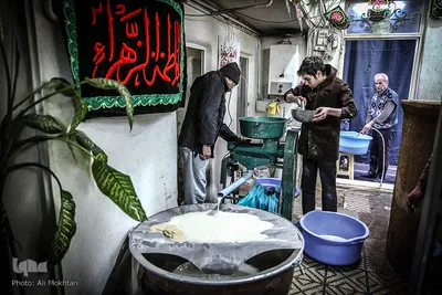 عبور جوانه های گندم از صافی