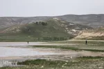 تالاب قوری گول‎‎