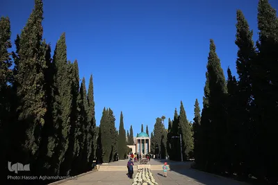 سعدیه