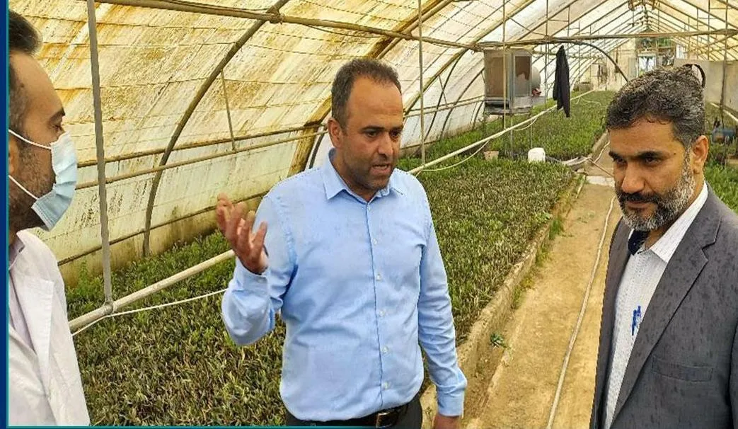 ظرفیت‌ جهاددانشگاهی برای تقبل مأموریت در حوزه گیاهان دارویی