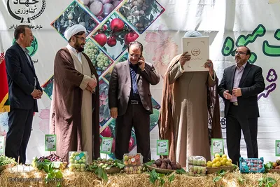 جشن شکرانه برداشت میوه البرز