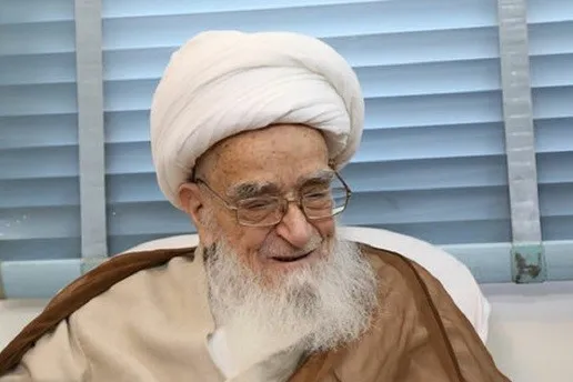 آیت‌الله صافی گلپایگانی: شکایتی از هیچ فرد، نهاد و جریانی ندارم