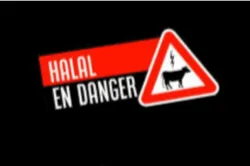 Halal en danger: vers la fin de l’abattage sans étourdissement en France?
