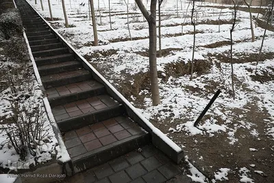 بارش برف در تهران