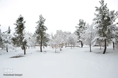 تبریز سپید پوش