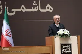 علی اکبر صالحی، رئیس سازمان انرژی اتمی