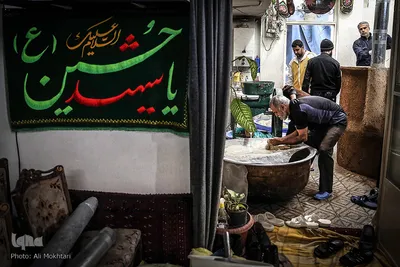 عبور جوانه های گندم از صافی