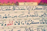 شکر؛ اظهار تقدیر و تجلیل در قبال نعمت
