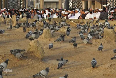 مزار امام جعفر صادق(ع) در قبرستان بقیع مدینه
