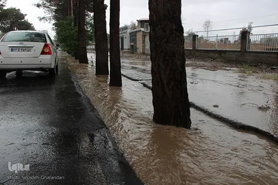 بارش باران و آبگرفتگی معابر - بیرجند