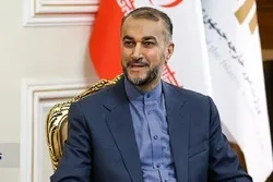 Iran’s FM Stresses OIC Role in Settlement of Muslim World Issues  