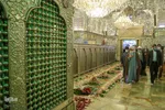 گلباران حرم مطهر امین ولایت