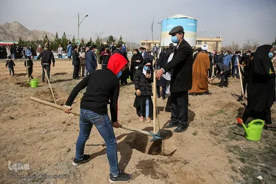 پویش سراسری درختکاری - مشهد
