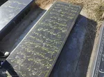 لیلةالرغائب در شهرستان اهر