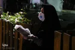شب نوزدهم ماه مبارک رمضان ـ مشهد