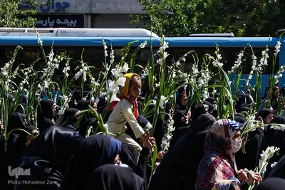 مراسم گلباران حرم مطهر رضوی در سالروز ولادت حضرت معصومه(س)