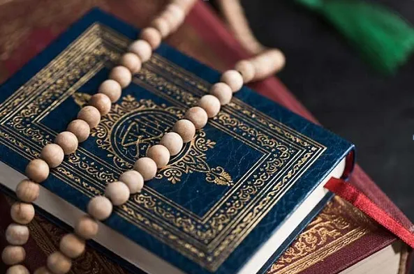 Гармоничная книга по содержанию и человеческому существованию