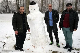بارش برف زمستانی در تهران