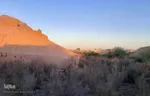 طبیعت پاییزی یزد در قاب تصویر