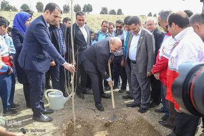 کاشت نهال صلح در بوستان پردیسان