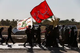 راهپیمایی اربعین مسیر نجف، کربلا / ۲