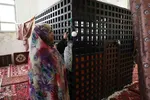 امام زاده ای در دل طبیعت بکر و جنگلی اهر