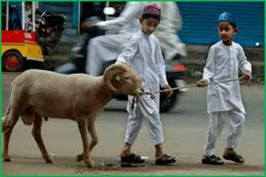 Permintaan Langkah-langkah Keamanan untuk Hari Raya Idul Adha di India