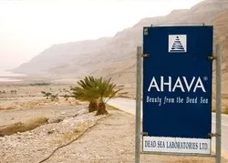 Israël normalise les colonies illégales par le tourisme