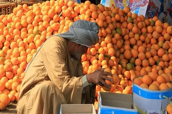 کمپین تحریم خرید میوه در مصر در پی افزایش قیمت
