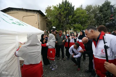 بازدید