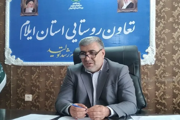 زیر کشت رفتن ۲۰۳ هزار هکتار از اراضی آبی و دیمی استان ایلام