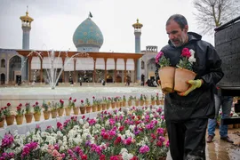 روز شیراز‎