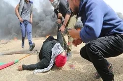 BMT fələstinli sivillərin öldürülməsini qınadı