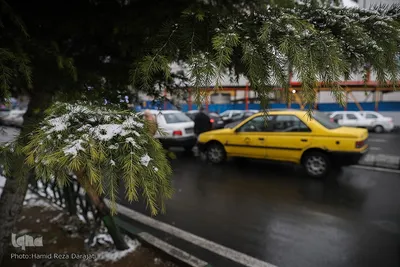 بارش برف در تهران