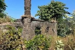 কক্সবাজারে কয়েক’শত বছরের প্রাচীন মসজিদের সন্ধান