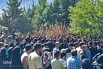 هزار و سیصد و سی‌امین آیین قالی‌شویان مشهد اردهال