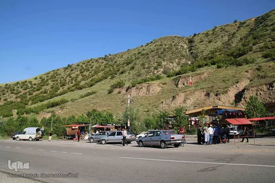 فصل برداشت گیلاس خوش طعم روستای افیل شهرستان اهر
