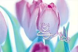‘ফাতেমার বিবাহের বিষয়টি আল্লাহর উপর ন্যস্ত‘