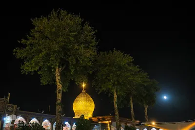 جشن ولادت امام زمان (عج) درحرم مطهر شاهچراغ (ع)