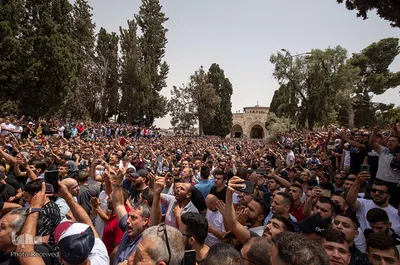 جشن پیروزی مقاومت مردم فلسطین