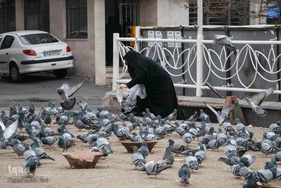 چهارراه کبوترها‎‎