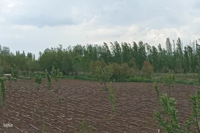 طبیعت بهاری رودخانه اهرچای در شهرستان اهر