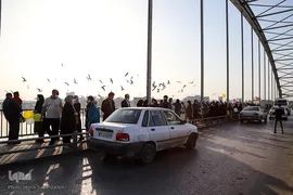 پرندگان مهاجر کارون