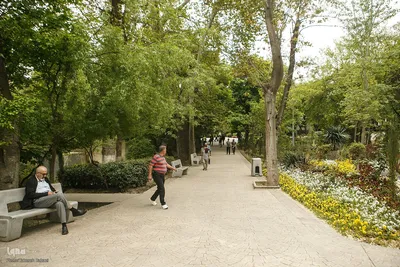 طبیعت بهاری تهران