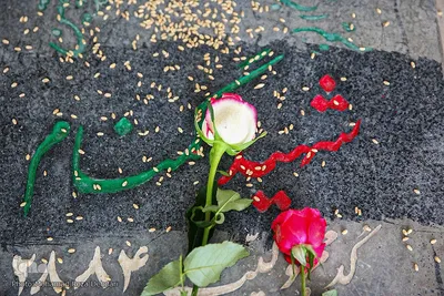 مراسم تجدید میثاق با شهدا با حضور جهادگران جهاددانشگاهی فارس