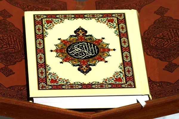 تنظيم ندوة 
