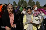 بازگشت نخستین گروه از حجاج استان فارس به شیراز