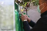 عکس | آیین مذهبی عَلم‌گردان در روستای انجدان