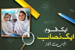 متنازع نصاب کے ٹھیکیداروں کی جانب سے شیعہ علماء کی توہین